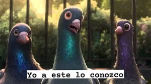 Palomas argentinas de bolt