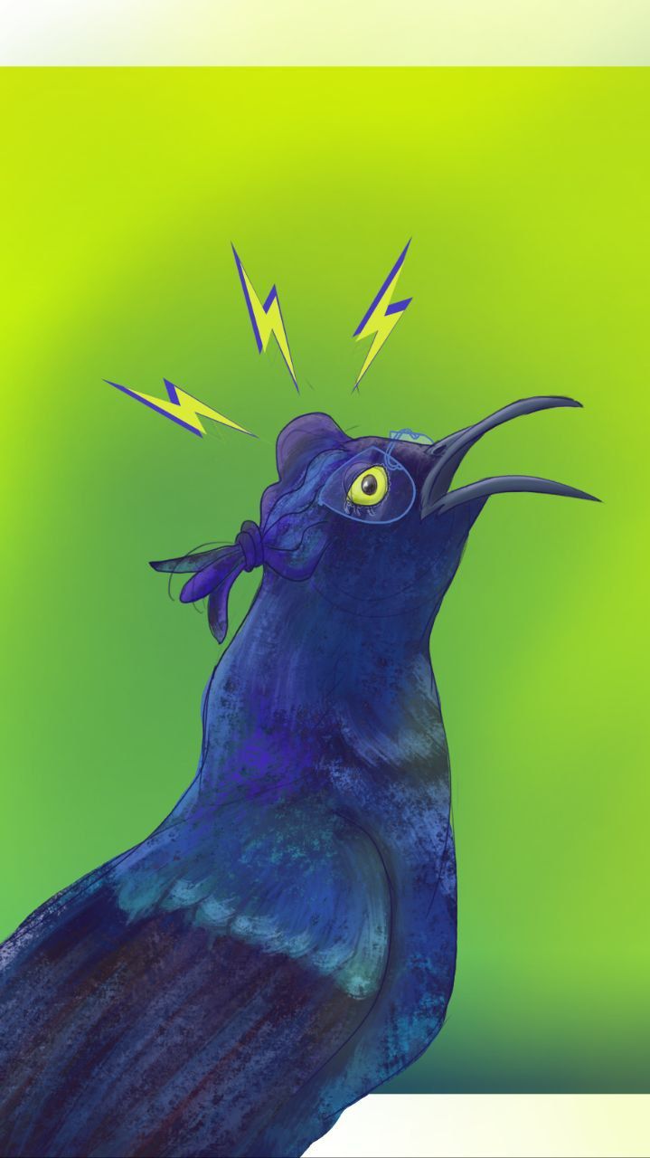 Autoretrato 2025 - Zanate